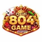 Qaidi 804 Game