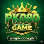 PK080 Game