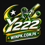 Y222 Game